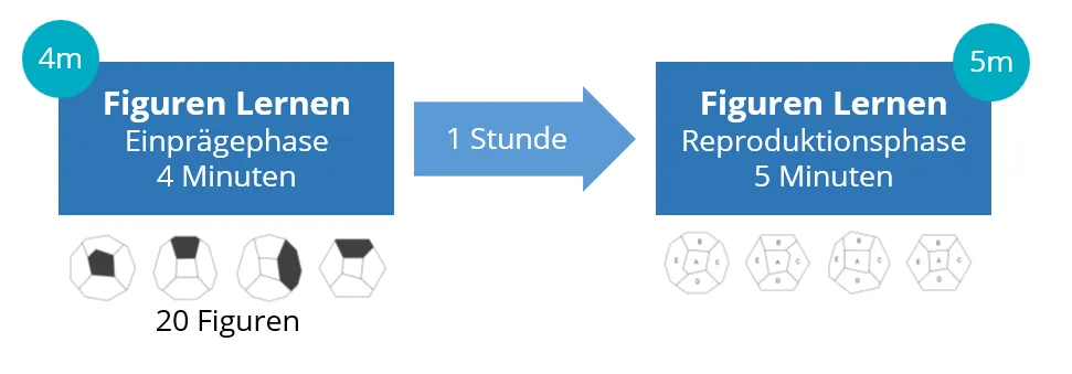 Zeiteinteilung TMS Figuren Lernen