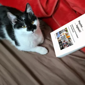 Psychologie Aufnahmetest 2026 - Buch