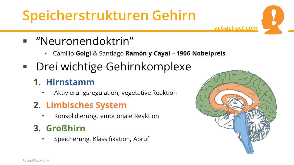 Speicherstrukturen Gehirn