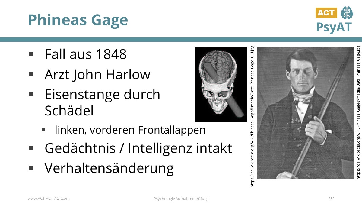 Phineas Gage